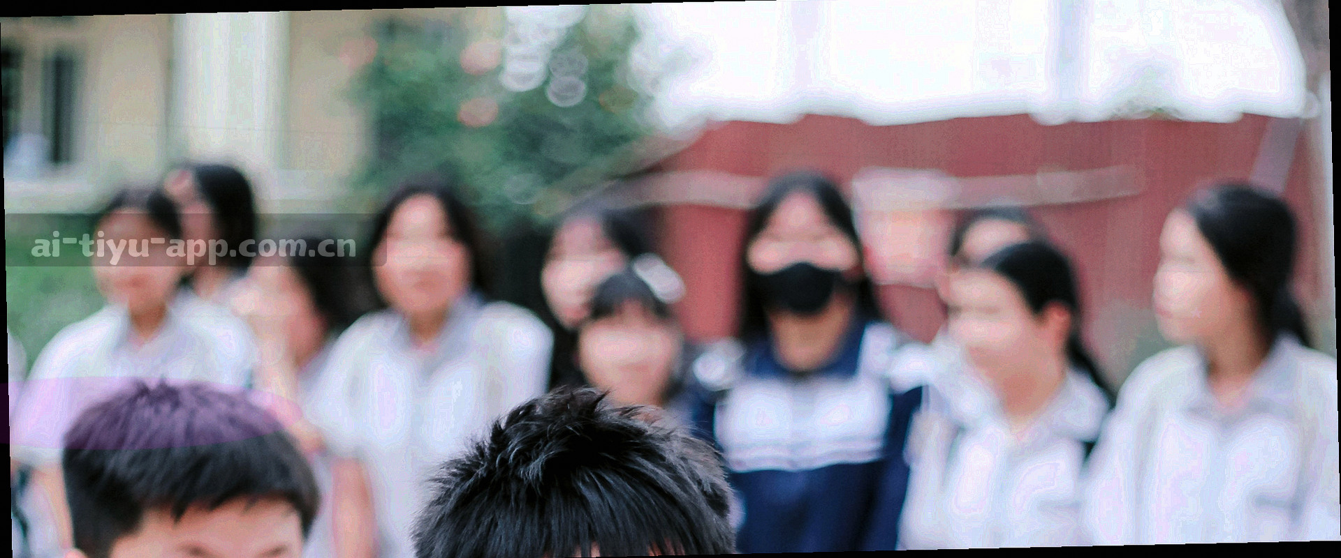 青海高原体育场与几何切分视觉